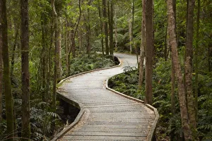 Franklin Prints: Boardwalk to Nelson