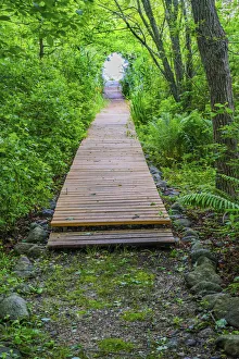 Images Dated 19th June 2017: Boardwalk, Padanaram, Dartmouth, Massachusetts
