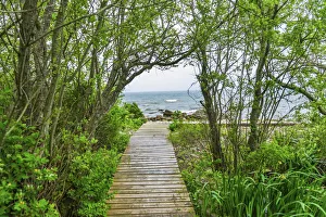 Boardwalk Prints: Boardwalk, Padanaram, Dartmouth, Massachusetts