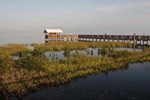 Boardwalk Prints: Boardwalk at South Padre Island Birding and Nature Center, South Padre Island, Texasd