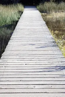 Boardwalk over swamps near Laird River in Hotsprings Provincial Park in British Columbia