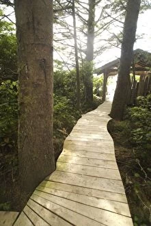 Boardwalk Trail from Wickaninnish Inn to Long Beach, Tofino, British Columbia, Canada