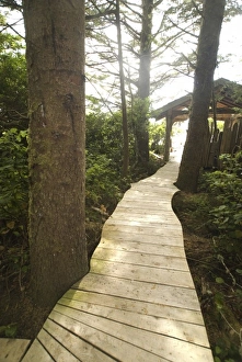 Images Dated 16th September 2006: Boardwalk Trail from Wickaninnish Inn to Long Beach, Tofino, British Columbia, Canada