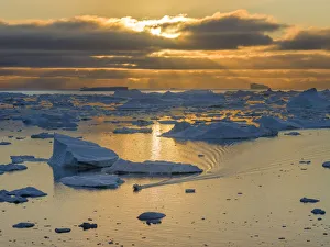 Images Dated 2017 August: Boat at Ilulissat Icefjord, a UNESCO World Heritage Site, also called kangia or Ilulissat