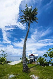 Perspective Prints: Boat pier in the north of the Island of Babeldoab, Palau, Central Pacific