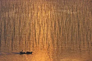 Seaweed Prints: Boat sailing through seaweed farm with bamboo sticks for drying seaweeds, East China Sea