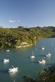 Images Dated 16th December 2009: Boats moored in Back Bay, Whitianga Harbour, Whitianga, Coromandel Peninsula, North Island