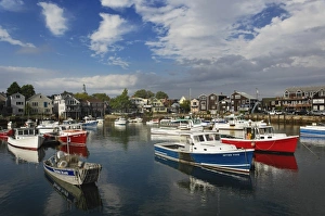 Images Dated 12th October 2007: Boats at Rockport harbor, Rockport, Massachusetts