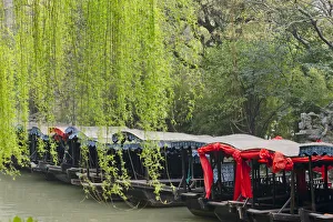 Willow Prints: Boats with willow trees on the Grand Canal, Nanxun Ancient Town, Zhejiang Province, China