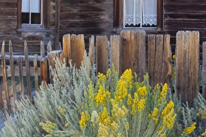 Ghost Town Prints: Bodie, California, USA