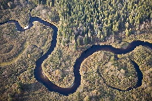 Winding Prints: The boggy wetalnds of the Nulhegan River in Ferdinand, Vermont. Near Island Pond