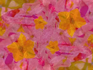 Abstract Collection: Bold pink and yellow floral abstract