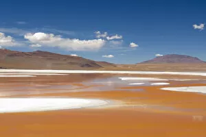 Bolivia, Atacama Desert, Laguna Colorada, Red Lake. The red lake is shallow
