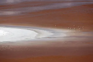 Images Dated 3rd June 2021: Bolivia, Atacama Desert, Laguna Colorada, Red Lake. The red lake is shallow