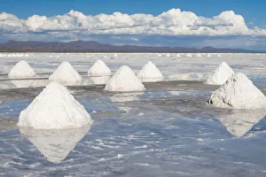 Industry Prints: Bolivia, Uyuni, Salar de Uyuni. Cones of salt have been scraped up so that the salt will