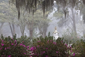 Images Dated 15th March 2009: Bonaventure Cemetery, Savannah, Georgia, USA