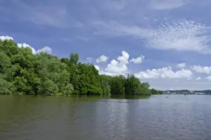 Riverfront Prints: Borneo, Brunei. Dense mangrove forest along the Brunei river not far from the capital