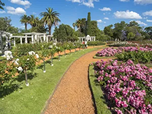 Palermo Prints: Bosques de Palermo park in quarter Palermo, the rose garden (El Rosedal de Palermo)