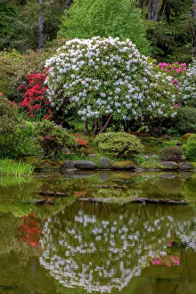 Pacific Coast Prints: Botanical gardens at Shore Acres State Park near Coos Bay, Oregon, USA