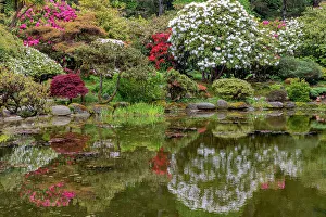 Pacific Coast Prints: Botanical gardens at Shore Acres State Park near Coos Bay, Oregon, USA