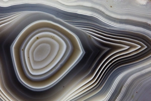 Natural Pattern Prints: Botswana Banded Agate, Quartzsite, AZ