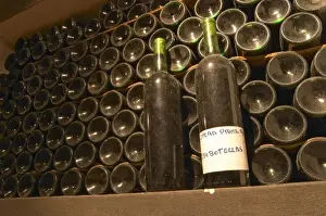 Bodega Prints: In the bottle aging wine cellar, bottles lying down and two standing with a label