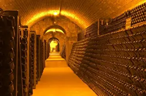 Images Dated 14th November 2011: Bottles aging either in pupitres (racks) waiting for the secondary fermentation
