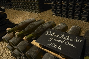 Images Dated 13th December 2005: Bottles of Batard Montrachet Grand Cru 1964 Burgundy wine with the appellation written