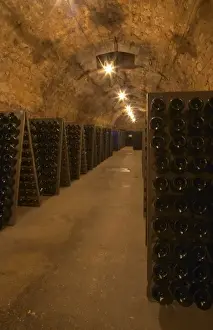 Basement Prints: Bottles in racks (pupitres) for remuage (riddling of the bottles) to make the sediment