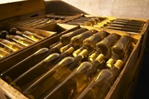 Bottles of white wine being aged in the cellar. Bodega Vinos Finos H Stagnari Winery