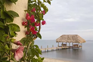 Images Dated 13th November 2006: Bougainvilla vine on pillar, and pier with thatched palapa jutting into Caribbean Sea