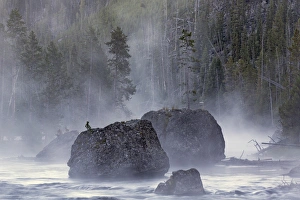 Boulders in early morning mist, Gibbon River, Yellowstone National Park, Wyoming