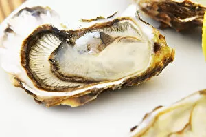 Bouzigues Languedoc. Oyster on half shell with lemon. France. Europe