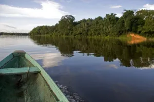 Images Dated 21st January 2007: The bow of a dugout canoe on the Arasa River in the Amazon jungle near Manaus, Brazil