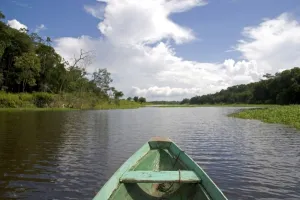 Images Dated 21st January 2007: The bow of a dugout canoe on the Arasa River in the Amazon jungle near Manaus, Brazil