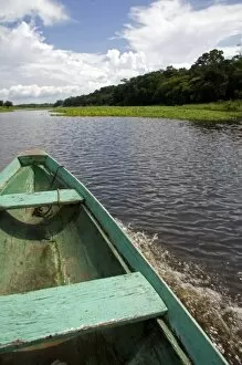 Images Dated 21st January 2007: The bow of a dugout canoe on the Arasa River in the Amazon jungle near Manaus, Brazil