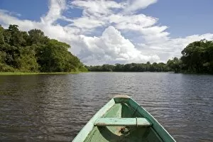 Images Dated 21st January 2007: The bow of a dugout canoe on the Arasa River in the Amazon jungle near Manaus, Brazil