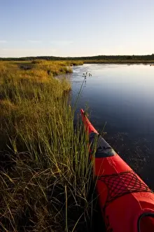 Images Dated 9th September 2009: The bow of a kayak in a marshy area of Northeast Creek on Mount Desert Island near Bar Harbor