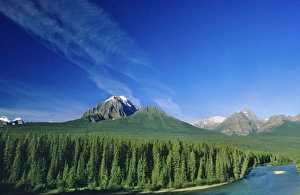 Images Dated 14th May 2010: The Bow River in Banff National Park in Alberta, Canada