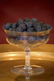 Bowl Prints: Bowl of blueberries