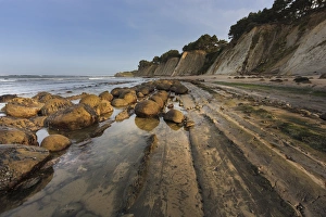 Images Dated 5th May 2015: Bowling Ball Beach near Point Arena, California, USA