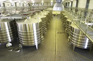 Warehouse Prints: The brand new winery (cuverie) with stainless steel fermentation tanks, view