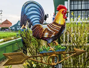 Images Dated 1st April 2017: Brass Rooster Windvane Zaanse Schans Old Windmill Village Countryside Holland Netherlands
