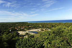Images Dated 9th March 2009: Brazil, Bahia, Porto Seguro, Arraial d Ajuda, view on the bay with palm trees