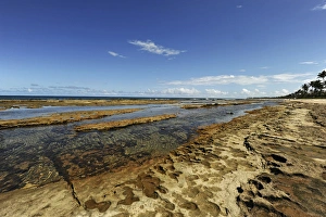 Anthony Asael Prints: Brazil, Pernambuco, Porto de Galinhas, Muro Alto, view at low tide
