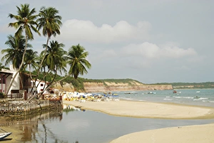 Brazil Prints: Brazil, Rio Grand do Norte, Praia da Pipa, tranquil beach scene