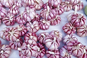 Garlic Prints: Brazil, Rio de Janeiro, garlic for sale at market, near Ipanema Beach