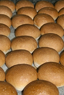 Cereal Prints: Bread (Panini), Italian cooking, Italy