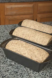 Homemade Prints: Three bread pans of multigrain dough ready for final rising