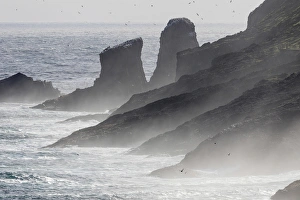 Subpolar Prints: Breakers and spray, the cliffs of Mykinesholmur